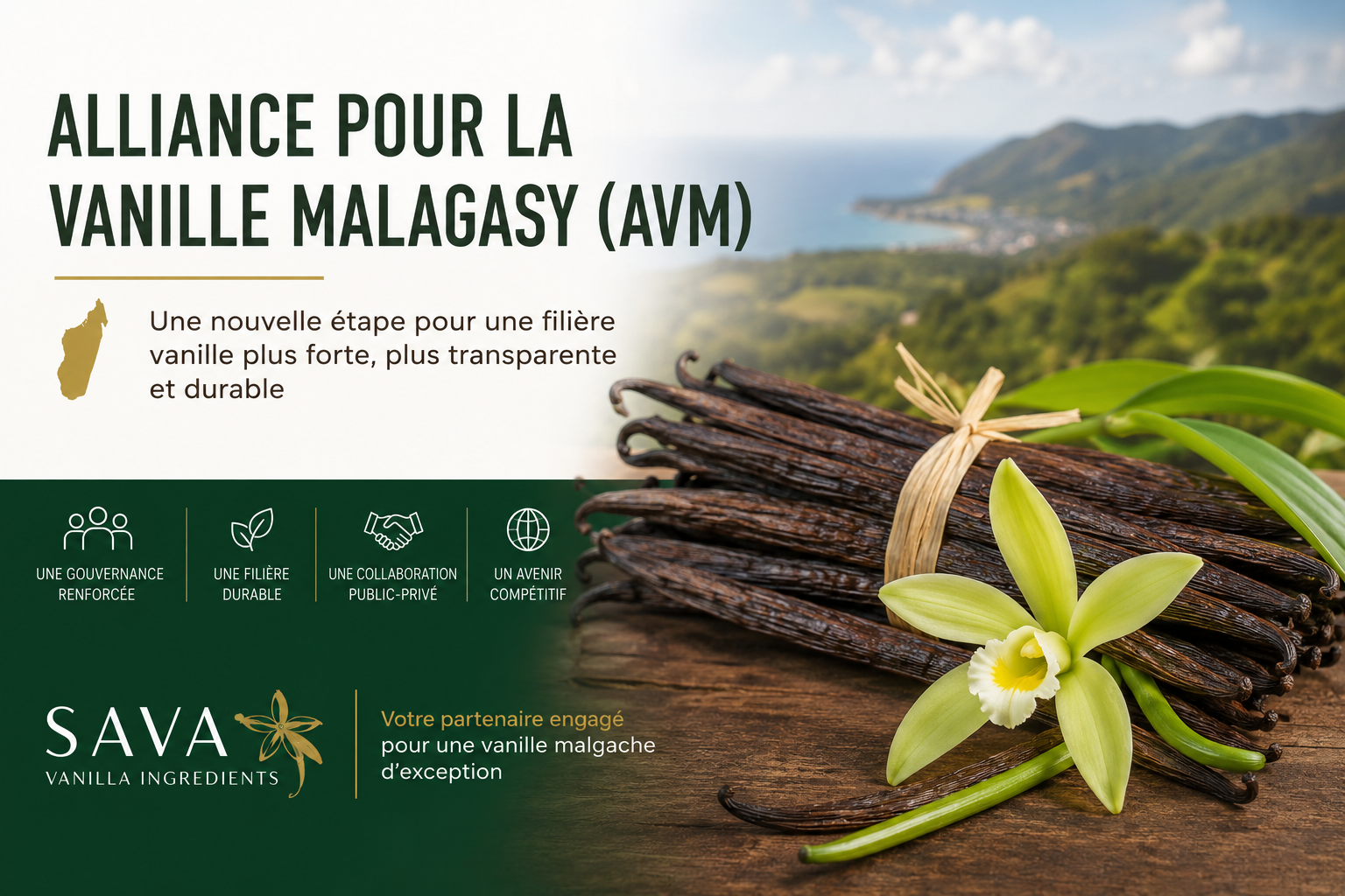 Alliance pour la Vanille Malagasy (AVM) : une nouvelle organisation pour l'avenir de la vanille de Madagascar 1 alliance vanille